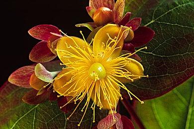 新华网：别忽视游戏行业的科技价值！